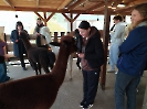 foto_11