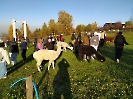 foto_18