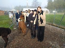 foto_21