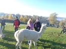 foto_3