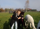 foto_7