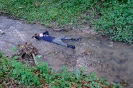 foto_31
