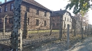 foto_3