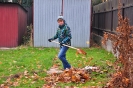 Sprzątanie ogrodu szkolnego -16.XI.2011